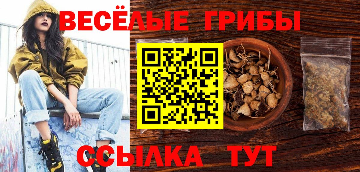 Королёв  Галлюциногенные грибы мухоморы  Вход с VPN 